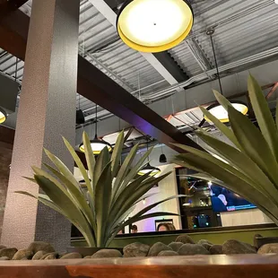 a view of a restaurant