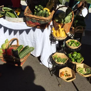 Backyard Farmer - corn, Zuchini, cucumber yum!  Can't wait for dinner tonight!!