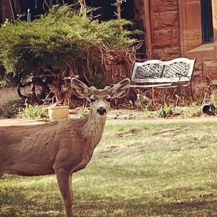 Welcome committee