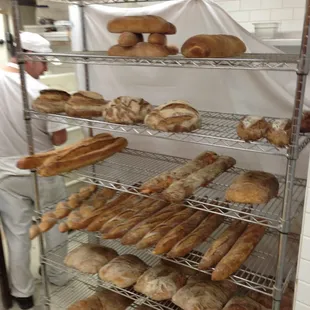 Fantastic breads