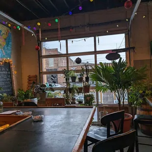 Soo many plants. This photo doesn't do it justice.