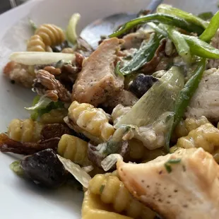 Mushroom Cavatelli + chicken