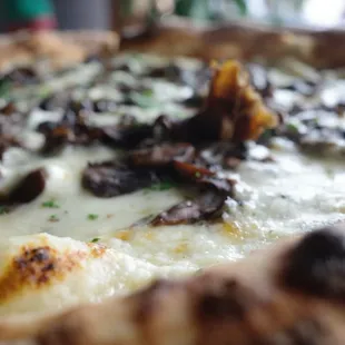 Funghi Pizza
