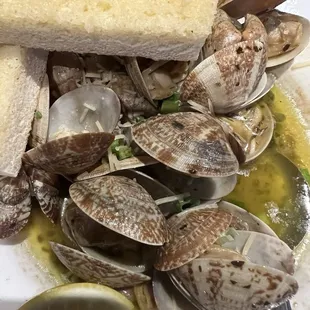 Steamed Clams