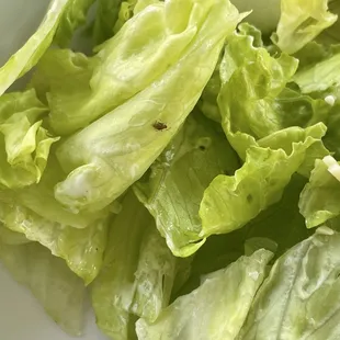 burritos and wraps, food