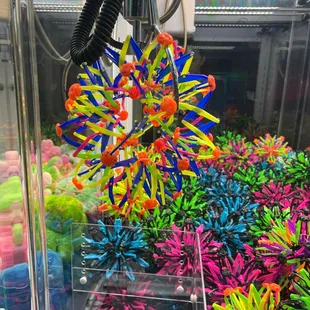 Stuck toy won fairly, no refund or toy!