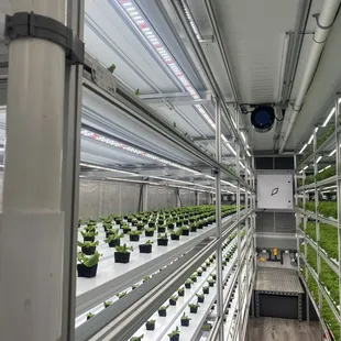 Inside one of their shipping containers