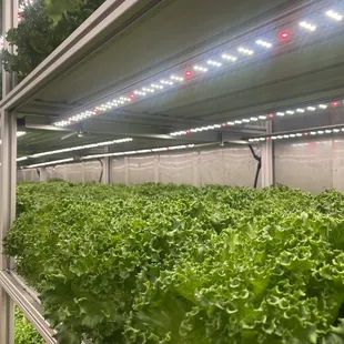 More of the same shipping container