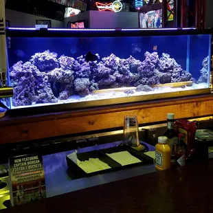 cool aquarium behind the bar