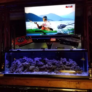Aquarium behind bar