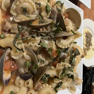 Clams posillipo with homemade pasta