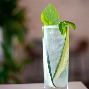 a glass of water with cucumber and mint