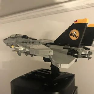 Why yes, this will be a Brickmania BKM1033 F-14 Tomcat on top of my server setup.
