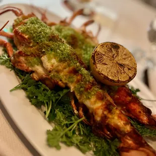 grilled lobster on a bed of greens