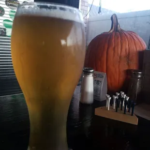 You know that pumpkin is jealous of that beer.
