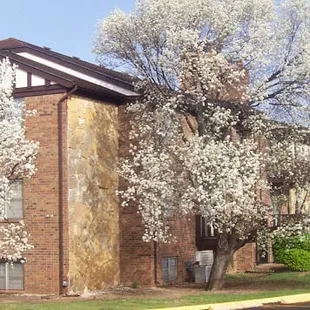 Brickstone at Woodlawn