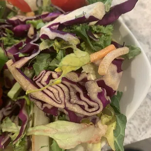 Side salad with old and dry veggies. The carrots lost their color and the lettuce and cabbage are turning brown.