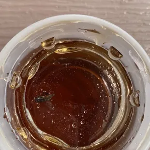 Dead fly swimming in just served syrup.