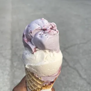 Vegan Vanilla Bean (oat milk based) and vegan Blackberry. The blackberry tasted a little frost bitten this time. :(
