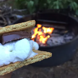 All campsites come with a fire pit (cooking grill included) , picnic table and beer box.
