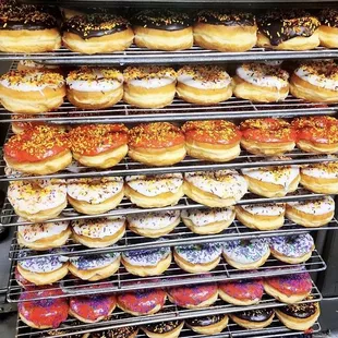 25 dozen donuts order and cater