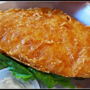 Holy Fish!