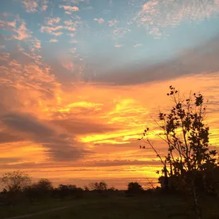 Pretty morning