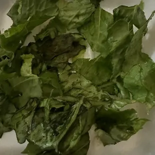 Wilted lettuce