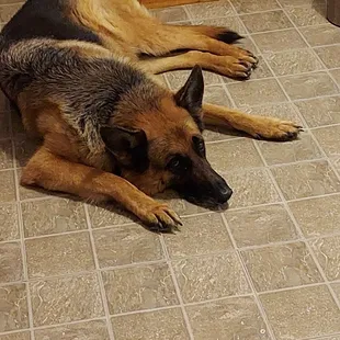 If I could find my car keys, I drive to Brigadoon Army Surplus Right Now!