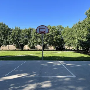 Basketball court