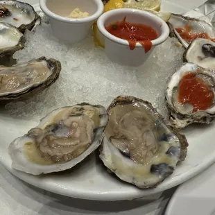 Oysters on the Half Shell