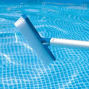 Pool Brushing service