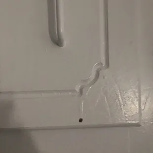 Cabinet paint bleeds