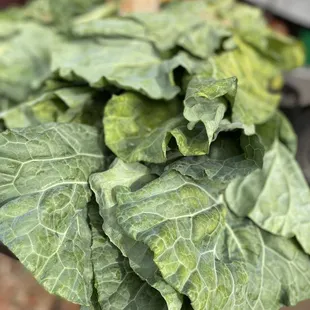 a bunch of leafy vegetables