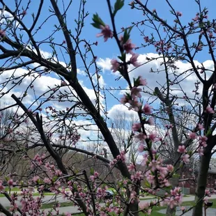 The visitors center from Willow Springs porch.