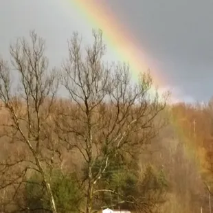 Looking across the Yough River.
