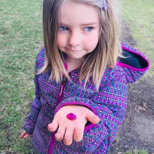 Finding gemstones on the playground is a highlight of outdoor time.