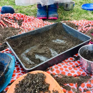 Outdoor playtime is not just another environment for play--it also provides a rich learning opportunity that benefits a child's development.