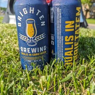 4-pack of Brighten Brewing canned beer