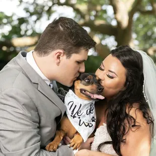 Dog friendly, outdoor area