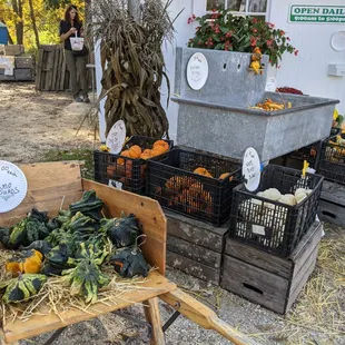 a variety of vegetables on display