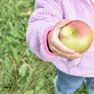a little girl holding an apple
