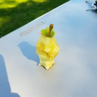 Apples. Lots of tasty apples.