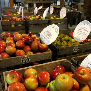 So many varieties of apples to choose from!
