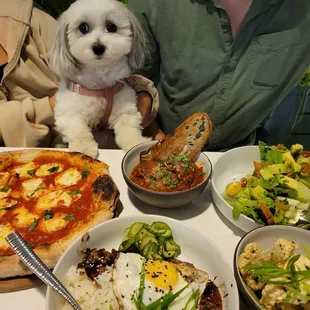 Dog friendly patio