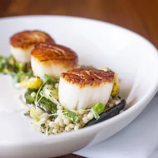 Sea Scallops