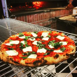Wood fired margherita pizza!