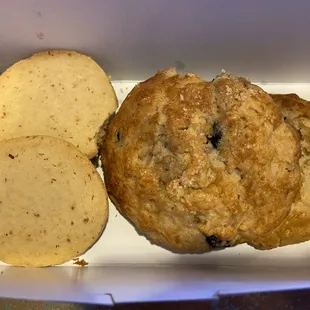 Cornmeal citrus cookies &amp; blueberry lemon scones!