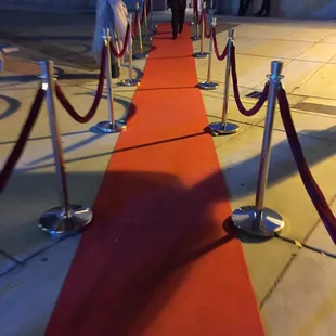 Red carpet event for Let It Be Foundation