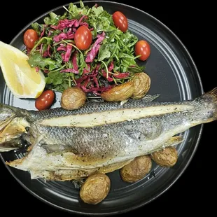 MEDETERRANEAN SEA BASS